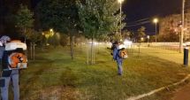Stire din Social : Dezinsecţie săptămânală în cartierele constănţene