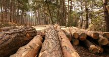 Stire din Eveniment : Proiect pentru înființarea  "DNA-ului Pădurilor"