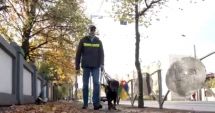Stire din Social : Doi nevăzători au fost bruscaţi şi scoşi din biserică, pentru că au intrat însoţiţi de câinele ghid