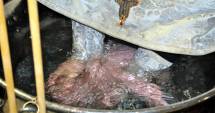 Stire din Social : Doi copii aflați în asistență maternală, botezați la Cumpăna, de Florii