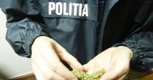 Stire din Eveniment : Bărbat din Năvodari, depistat cu droguri. S-a ales cu dosar penal