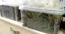 Stire din Eveniment : Prinse în flagrant în timp ce vindeau 5 kilograme de cannabis
