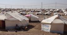 Stire din Eveniment : Criză umanitară în Irak și Siria: deputații cer ajutor și conferință a donatorilor