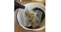 Stire din Eveniment : Captură importantă de droguri la Constanța. Doi tineri au fost reținuți de DIICOT