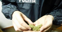 Stire din Eveniment : Captură impresionantă. Aproape 3 tone de droguri și 6.000 de comprimate, ridicate de mascați