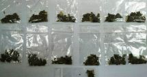 Stire din Eveniment : Prins  cu etnobotanice în buzunar,  a încercat să fugă de jandarmi