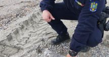 Stire din Eveniment : Zeci de pachete cu cocaină, "culese" de pe plaje