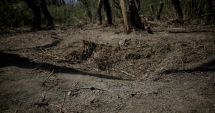 Stire din Eveniment : MApN: Resturi de dronă găsite în zona localităţii Ceatalchioi