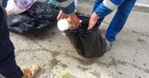 Stire din Social : Mii de kilograme de alimente, distruse  după controalele inspectorilor DSV