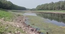 Stire din Actualitate : Dunărea secată poate fi traversată pe jos la Oltina, în Constanţa