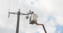 Stire din Social : Echipamente pentru protejarea păsărilor, montate pe stâlpii din Dobrogea