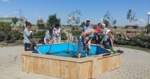 Stire din Politică-Administrație : PSD Cumpăna, acțiuni de ecologizare în "Parcul Verde"