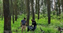 Stire din Social : Lunca Dunării a fost ecologizată. Garda Națională de Mediu a intervenit prompt