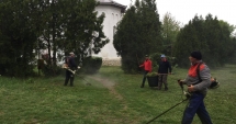 Stire din Social : Continuă curățenia la Eforie. Se toaletează spațiul verde de la Biserica Sf. Ioan Botezătorul