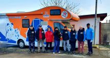 Stire din Social : Eforturi pentru oprirea înmulţirii maidanezilor. Sute de câini, sterilizaţi
