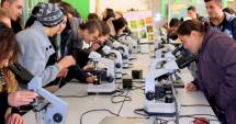 Stire din Cultură-Educație : Elevii din Techirghiol, în vizită la Universitatea "Ovidius"