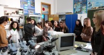 Stire din Cultură-Educație : Elevii  Liceului "Cotovu"  din Hârșova își aleg responsabil cariera