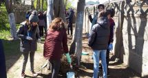 Stire din Cultură-Educație : Elevii Școlii  "Mihail Koiciu", curățenie pe străzi