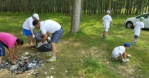 Stire din Social : Elevii și voluntarii au făcut curat  pe malurile Dunării