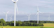 Stire din Economie : Eolienele, principala sursă de energie a ţării