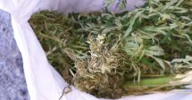 Stire din Eveniment : E plin de droguri în Vama Veche! Încă trei tineri, prinși cu "iarbă" de vânzare