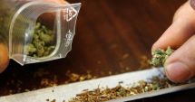 Stire din Eveniment : Student la Teologie și cântăreț la o biserică, prins cu etnobotanice