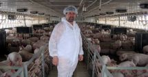 Stire din Social : Joburi în străinătate. Se caută muncitori în fermele de porci