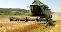Stire din Economie : Evoluții spectaculoase în agricultura românească, după aderarea la UE