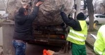 Stire din Eveniment : Cunoașteți persoane care colectează peturi ori deșeuri reciclabile? Alertați autoritățile!