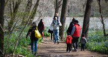 Stire din Sănătate : Faceţi zilnic mişcare! Exercițiile fizice țin sub control glicemia