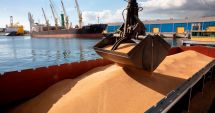 Stire din Economie : Exporturile de cereale ale României au scăzut cu peste 4% anul trecut