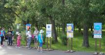 Stire din Social : Mare Nostrum. Deșeurile reciclabile, expuse în parc