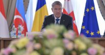 Stire din Actualitate : Cât a cheltuit Palatul Cotroceni pe flori, în 2022. Surprize la bilanţul finalului de an