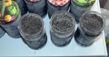 Stire din Eveniment : Peste 15 kilograme de icre negre, ridicate în urma unor percheziții coordonate de procurori