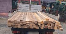 Stire din Eveniment : Autoritățile au depistat un transport ilegal de lemne, în județul Constanța