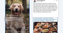 Stire din Actualitate : Facebook va penaliza conturile care fac spam