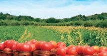 Stire din Economie : Faceți agricultură ecologică? Iată ce modificări legislative au apărut!