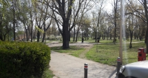 Stire din Social : Fără mașini  în parcul Tăbăcărie!