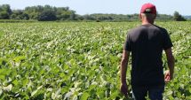 Stire din Economie : Fermierii și industria alimentară solicită sprijinul autorităților