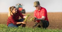Stire din Economie : Grupurile de producători din sectorul agricol au primit peste 16 milioane de euro