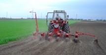 Stire din Economie : Fermierii constănțeni extind suprafața cultivată cu grâu