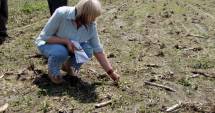 Stire din Economie : Fermierii plâng cu vorbe! Seceta a afectat grav culturile de primăvară