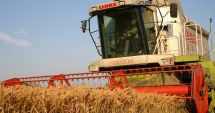 Stire din Economie : Fermierii plâng cu vorbe! Recoltele s-au înjumătățit, prețurile sunt mici, creditorii bat la ușă