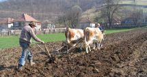 Stire din Economie : Se solicită urgentarea despăgubirilor pentru culturile de primăvară