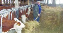Stire din Economie : Fermierii pot primi ajutor de stat, dacă angajează tineri