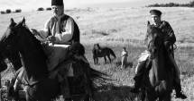 Stire din Cultură-Educație : "Aferim!" va rula pe un ecran gigant în Piața Ovidiu