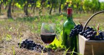 Stire din Economie : Festivalul Gastronomiei și Vinului Românesc, la Constanța