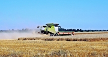 Stire din Economie : "Fierbe" piața terenurilor agricole.  Peste 2.000 de solicitări pe județ
