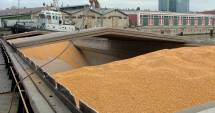 Stire din Economie : Finanțele Publice Constanța - mare angrosist de cereale