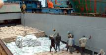 Stire din Economie : Fiscul a vândut 15.000 de tone de făină confiscată de pe două nave din portul Constanța